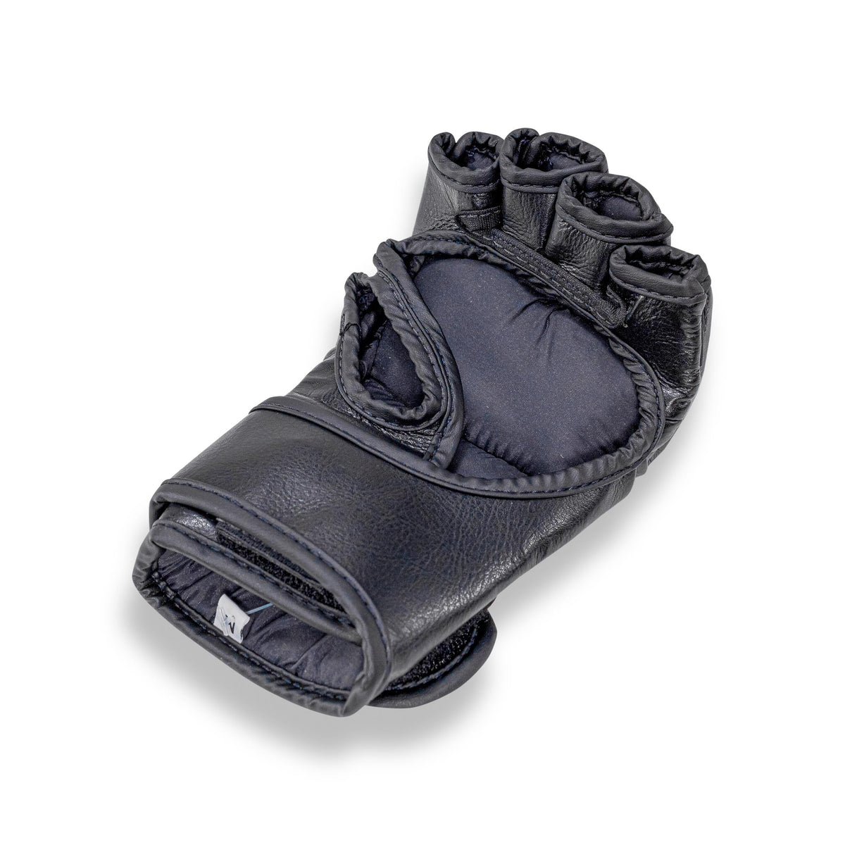 Blegend MMA Fight gloves black