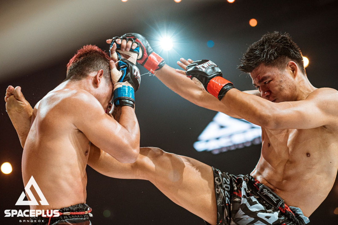 Best MMA Gloves - Muay Thai Outlet Picks