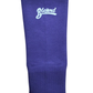 BLEGEND Ankle Support Purple