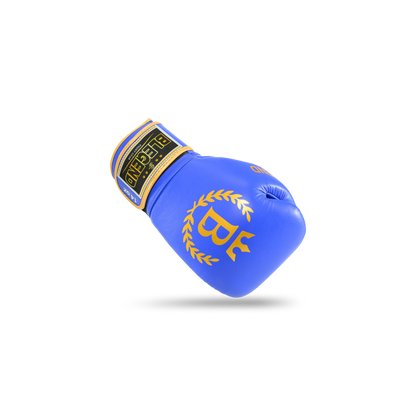 Blegend Boxing Gloves BGR Blue
