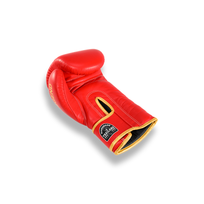 Blegend Boxing Gloves BGR Red