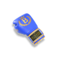Blegend Boxing Gloves BGR Blue