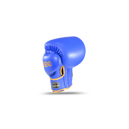 Blegend Boxing Gloves BGR Blue