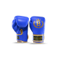 Blegend Boxing Gloves BGR Blue
