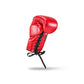 Blegend Boxing Gloves BGL221 Lace Up Red