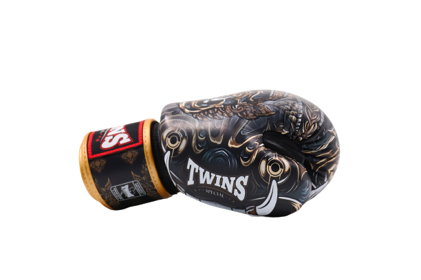 Twins Special Fancy BOXING GLOVES FBGVL3-63 Black