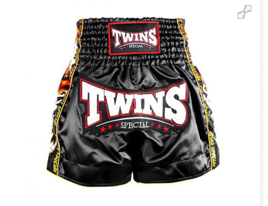 Twins Special Muay Thai Shorts TBS-New Payak