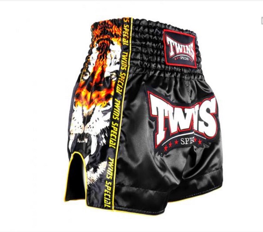 Twins Special Muay Thai Shorts TBS-New Payak