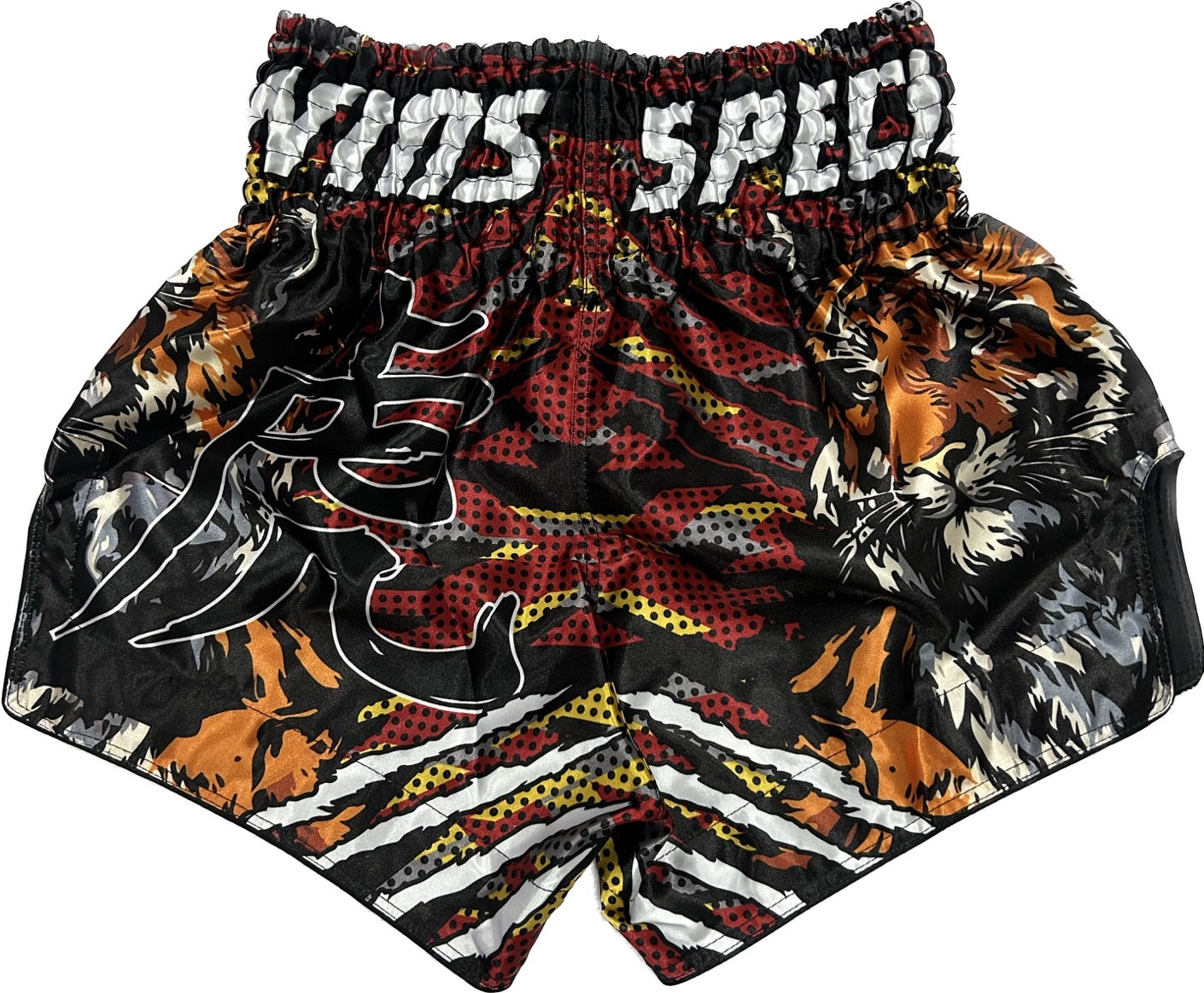 Twins Special Muay Thai Shorts TBS-PAYAK