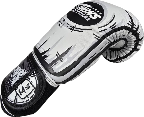 Twins Special Fancy Boxing Gloves FBGVL4-66