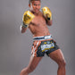 Buakaw Boxing Gloves BGL-GL3 Gold - SUPER EXPORT SHOP