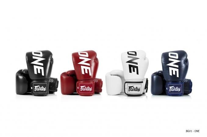 Fairtex Boxing Gloves BGV1 "ONE" Blue