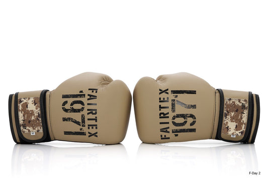 Fairtex Boxing Gloves BGV25 F-Day2 without box