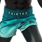 Fairtex Shorts BS1906