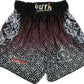 Fairtex Fight Shorts FFS Red Silver